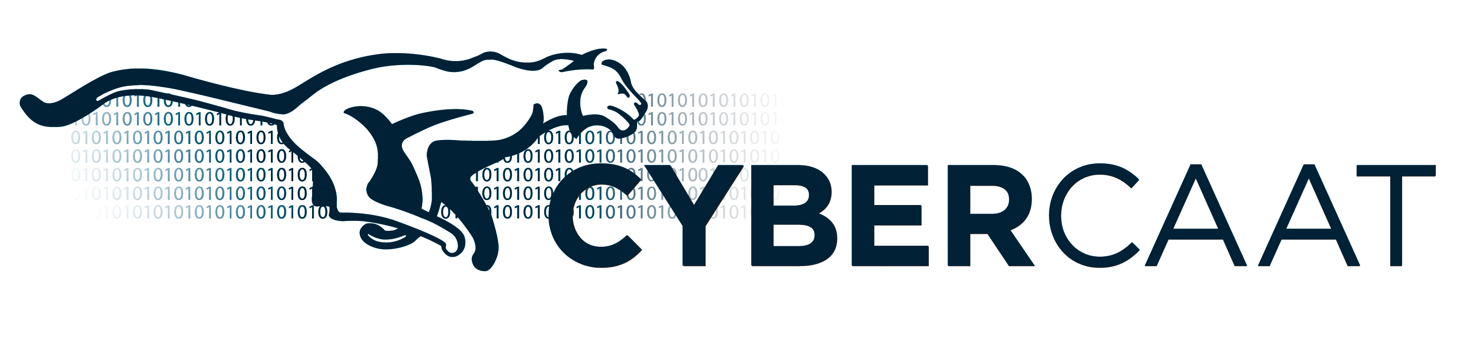 CyberCAAT